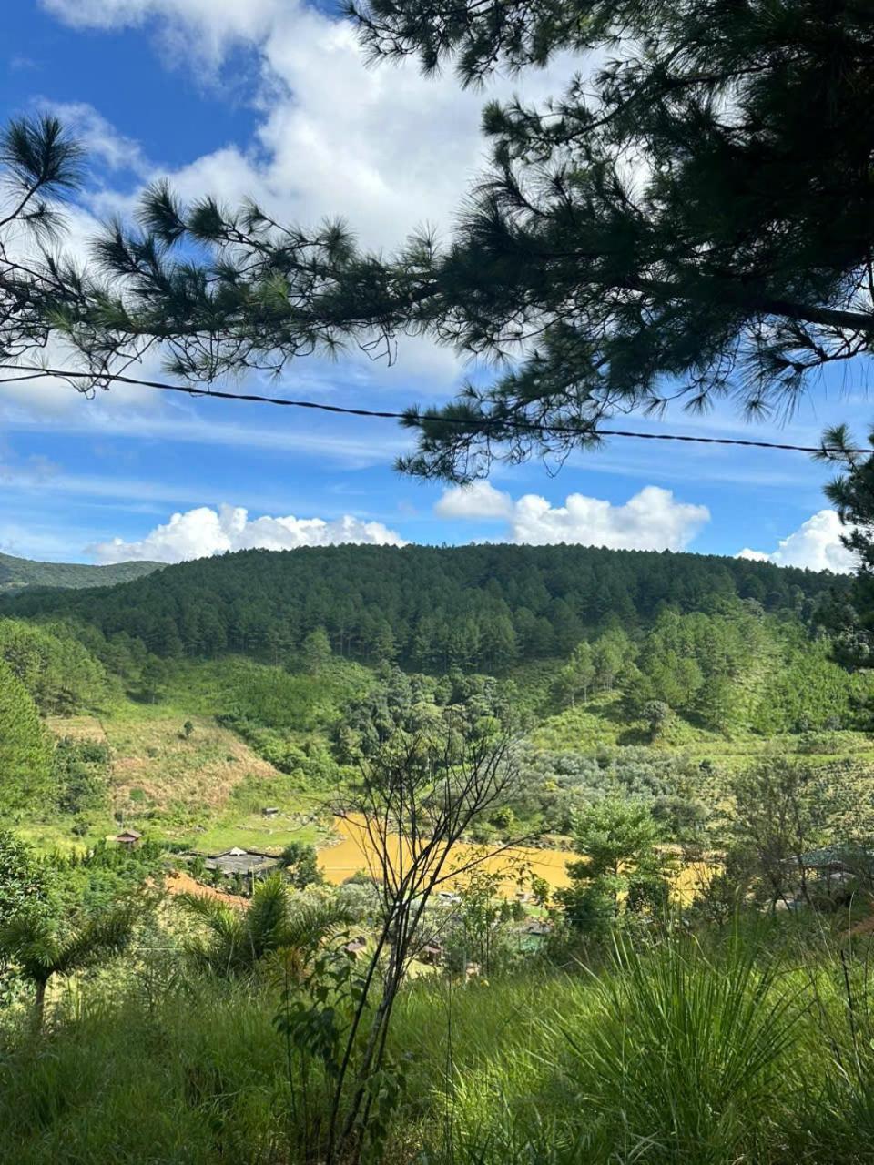 Coco 2 Hotel Da Lat Eksteriør billede
