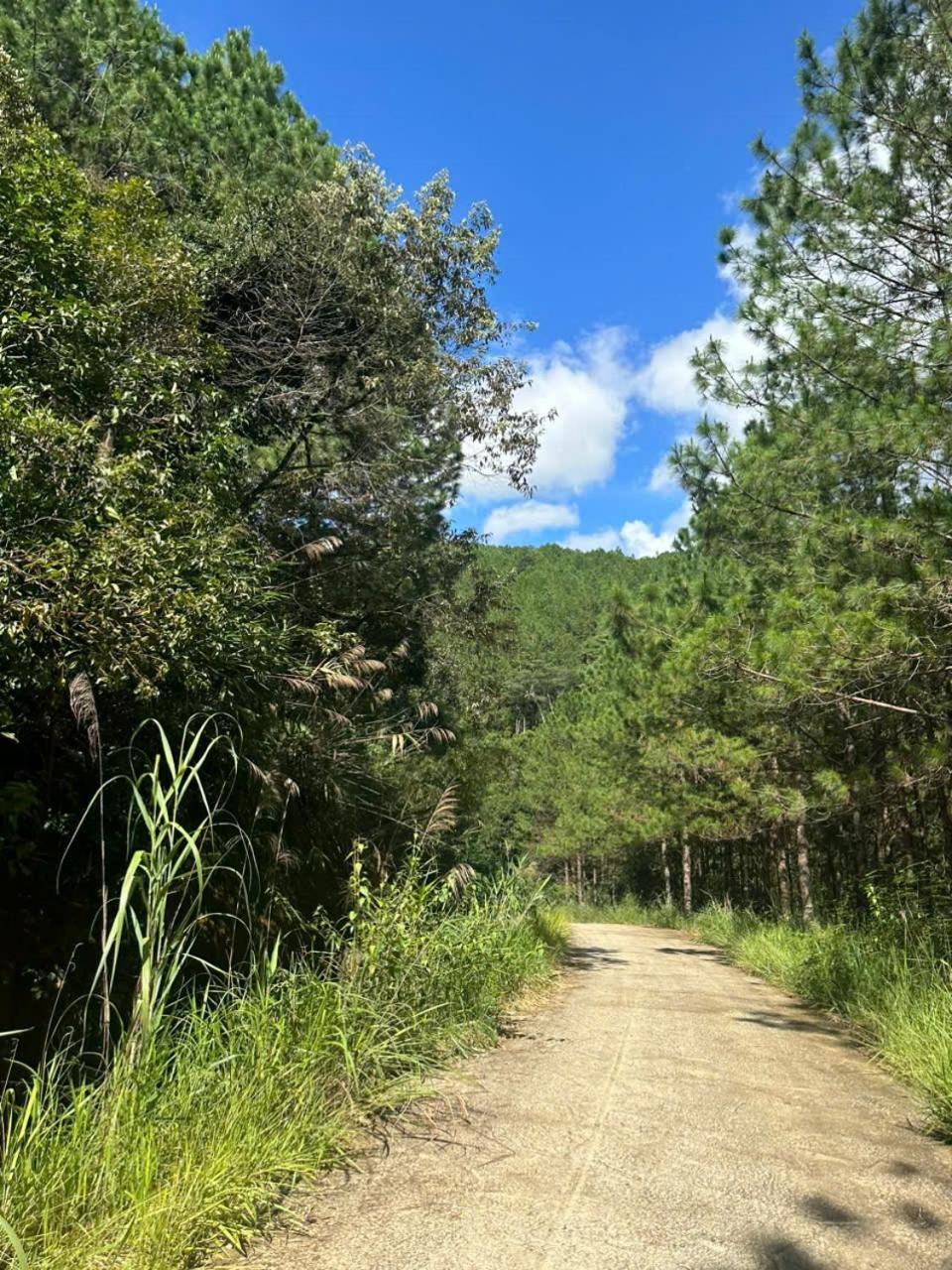 Coco 2 Hotel Da Lat Eksteriør billede